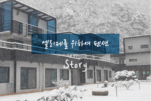 엘리제를 위하여 펜션 Story