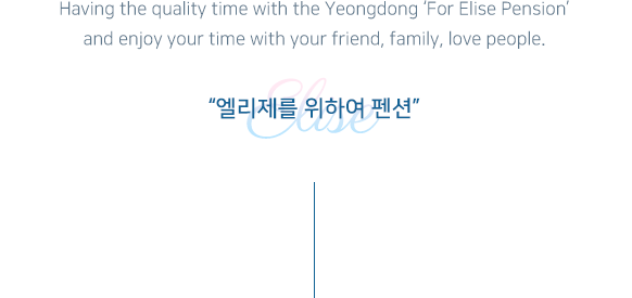 엘리제를 위하여 펜션