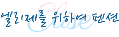 엘리제를 위하여 펜션